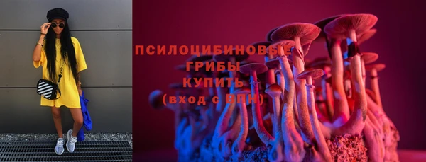 ECSTASY Алексеевка