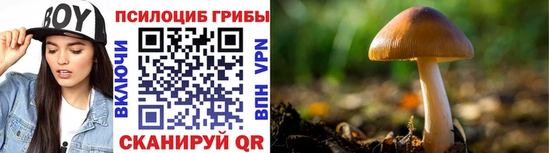 Галлюциногенные грибы ЛСД  shop как зайти  Искитим 